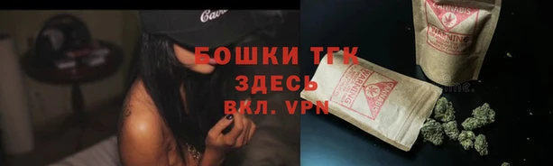 шишки Костерёво