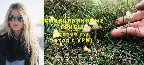 шишки Костерёво