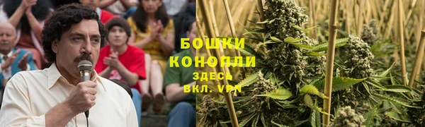 шишки Костерёво