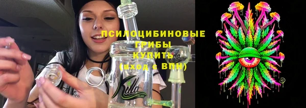 шишки Костерёво