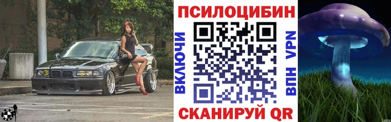 Псилоцибиновые грибы GOLDEN TEACHER  OMG вход  Чернушка 